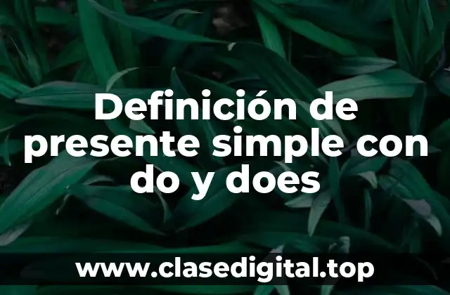 Definición de presente simple con do y does