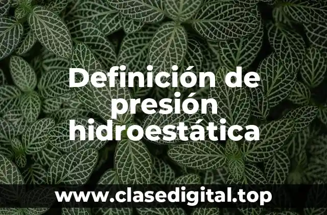 Definición de presión hidroestática