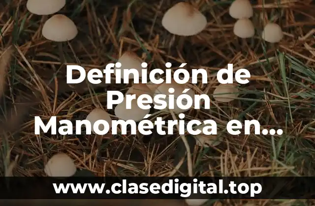 Definición de Presión Manométrica en Química