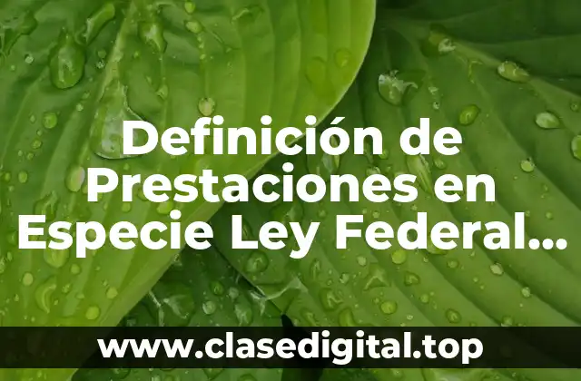 Definición de Prestaciones en Especie Ley Federal del Trabajo