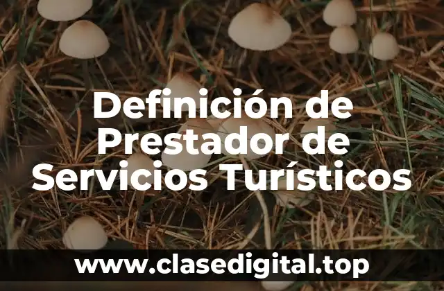 Definición de Prestador de Servicios Turísticos