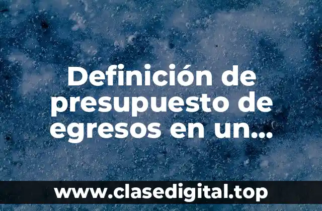 Definición de presupuesto de egresos en un proyecto