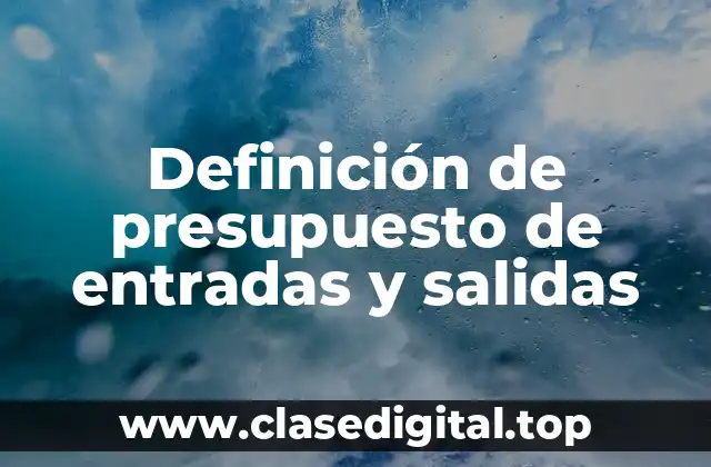 Definición de presupuesto de entradas y salidas