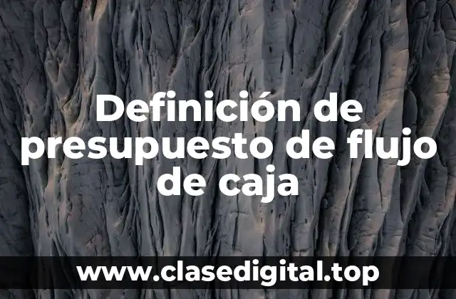 Definición de presupuesto de flujo de caja