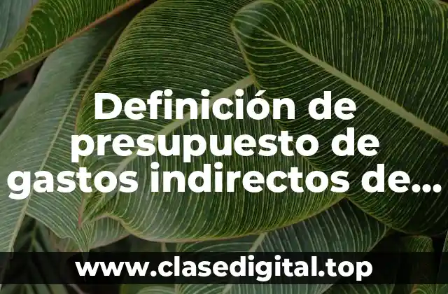 Definición de presupuesto de gastos indirectos de fabricación