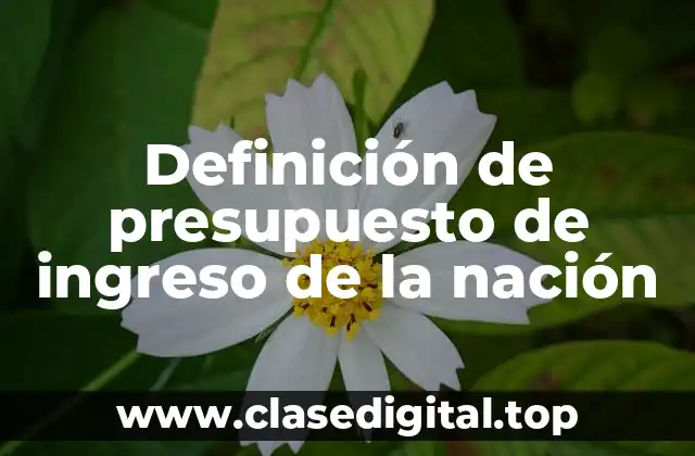 Definición de presupuesto de ingreso de la nación