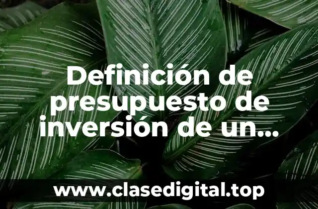 Definición de presupuesto de inversión de un proyecto