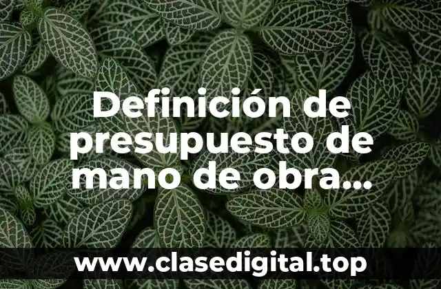 Definición de presupuesto de mano de obra indirecta