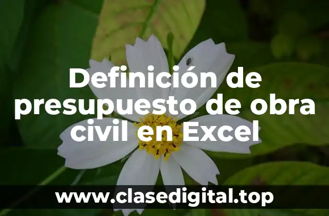 Definición de presupuesto de obra civil en Excel