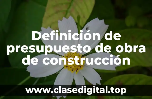 Definición de presupuesto de obra de construcción