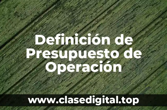 Definición de Presupuesto de Operación