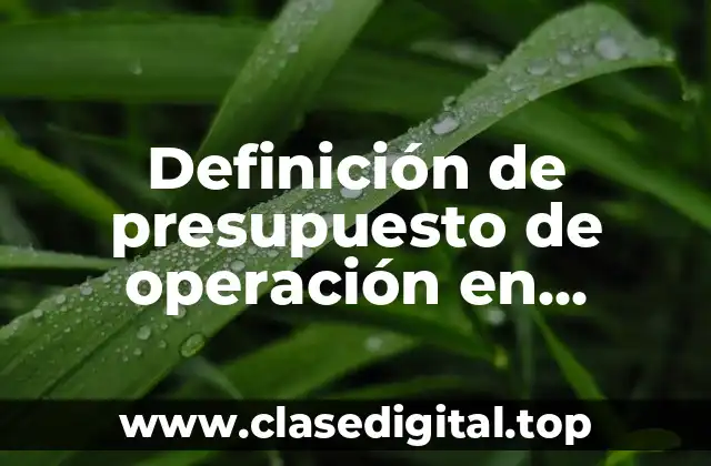 Definición de presupuesto de operación en administración