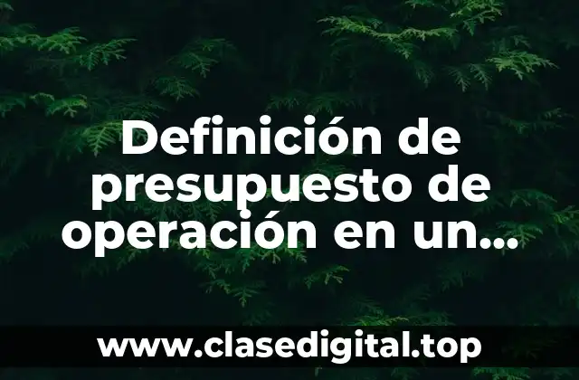 Definición de presupuesto de operación en un proyecto