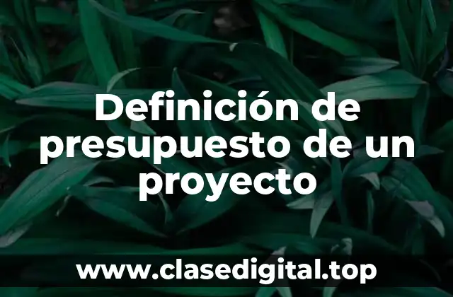 Definición de presupuesto de un proyecto