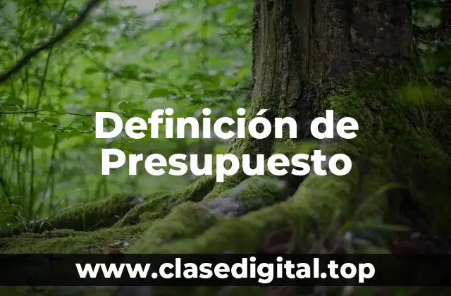 Definición de Presupuesto
