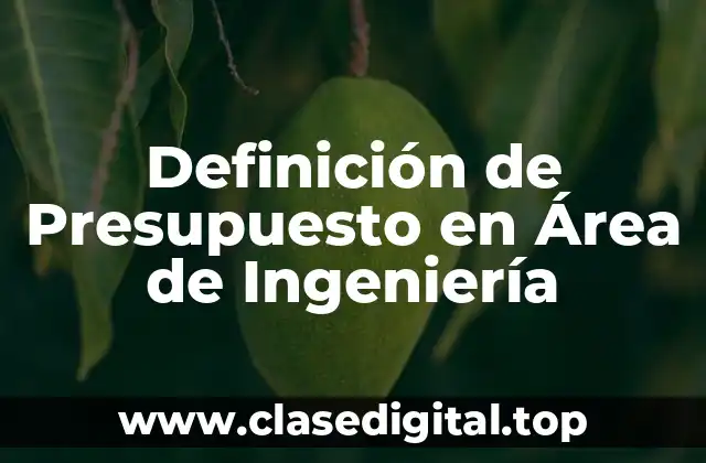 Definición de Presupuesto en Área de Ingeniería
