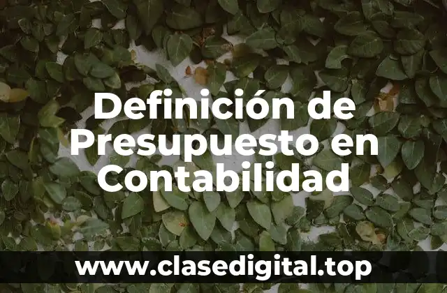 Definición de Presupuesto en Contabilidad