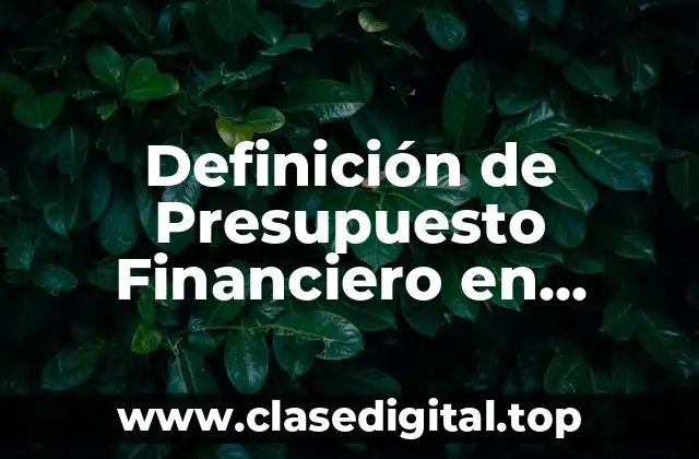 Definición de Presupuesto Financiero en Contabilidad