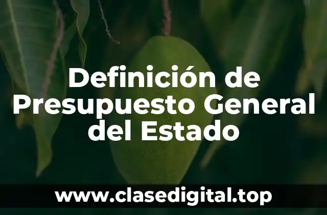 Definición técnica de Presupuesto General del Estado