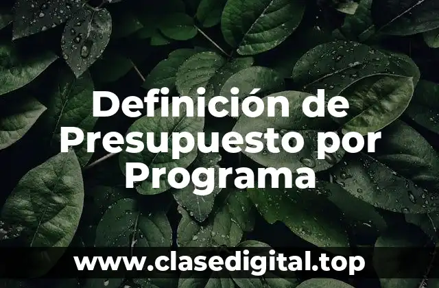Definición de Presupuesto por Programa