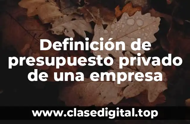 Definición de presupuesto privado de una empresa