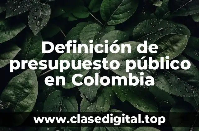 Definición de presupuesto público en Colombia