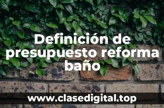 Definición de presupuesto reforma baño