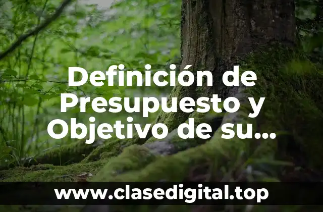Definición técnica de Presupuesto