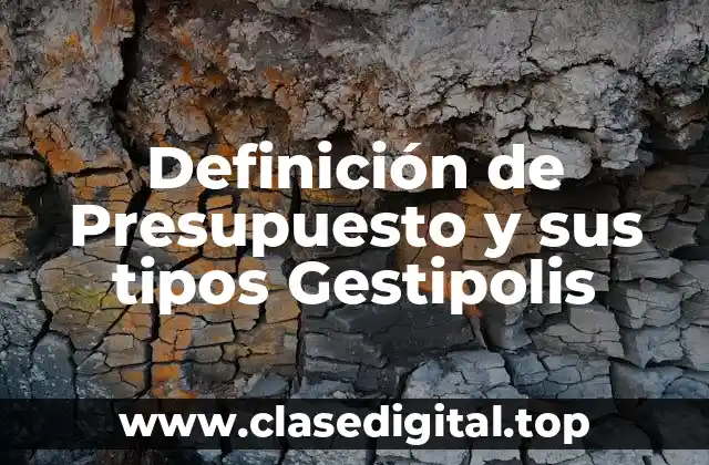 Definición de Presupuesto y sus tipos Gestipolis