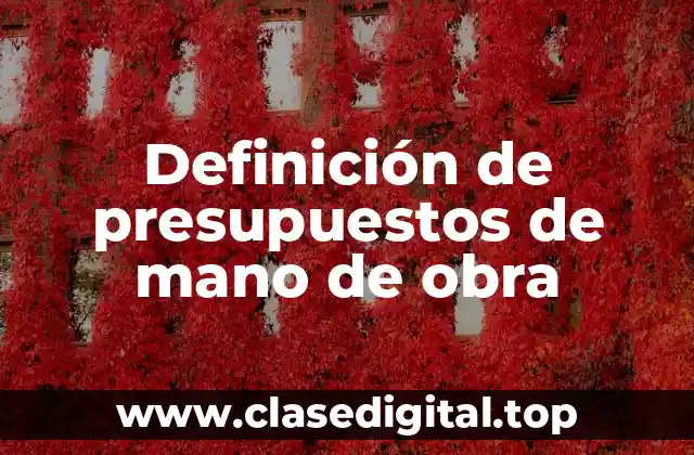 Ejemplos de presupuestos de mano de obra