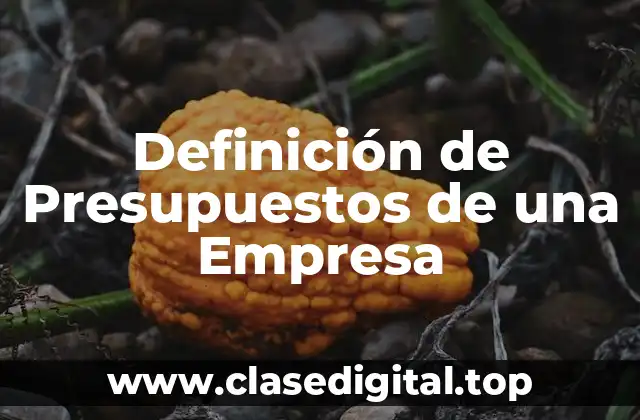Definición Técnica de Presupuesto de una Empresa