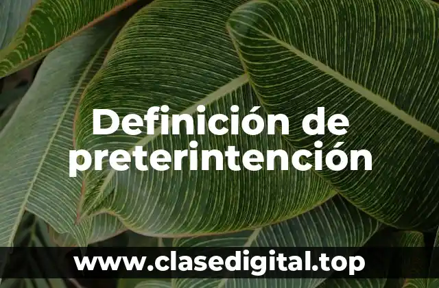 Definición de preterintención
