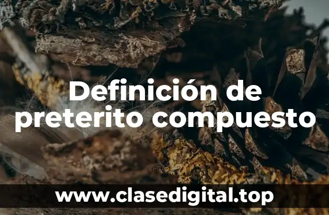 Definición de preterito compuesto