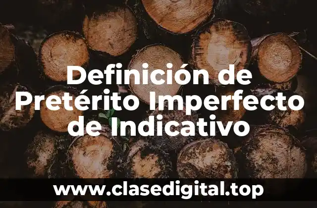 Definición de Pretérito Imperfecto de Indicativo