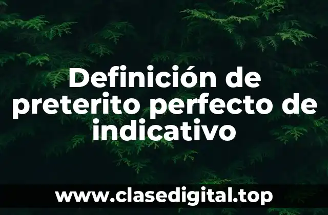 Definición de preterito perfecto de indicativo