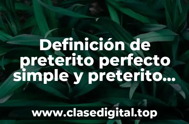 Definición técnica de preterito perfecto simple