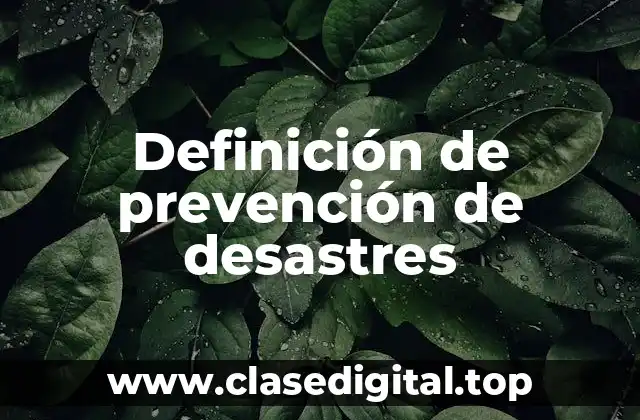 Definición de prevención de desastres