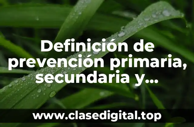 Definición de prevención primaria, secundaria y terciaria del delito