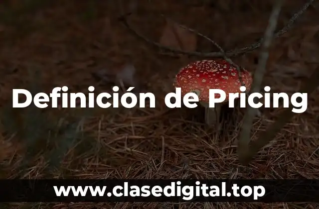 Definición técnica de Pricing
