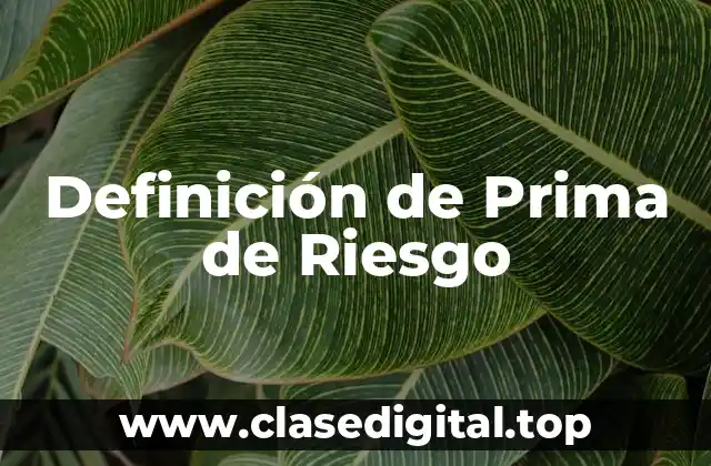Definición de Prima de Riesgo