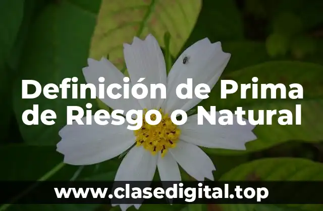 Definición de Prima de Riesgo o Natural