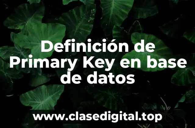 Definición de Primary Key en base de datos