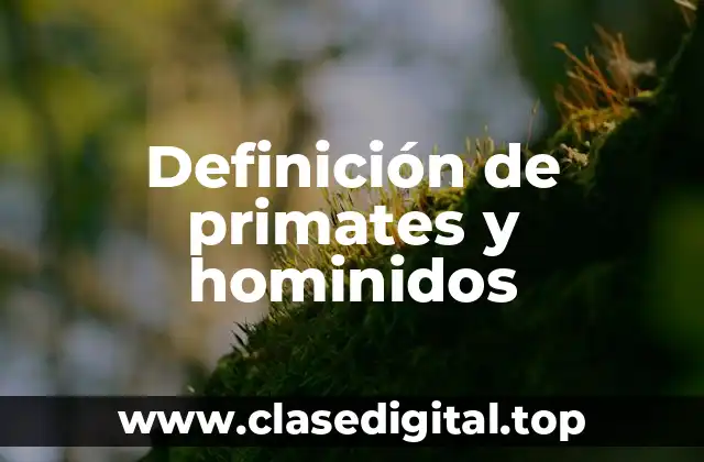 Definición de primates y hominidos