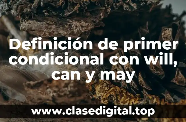 Definición de primer condicional con will, can y may