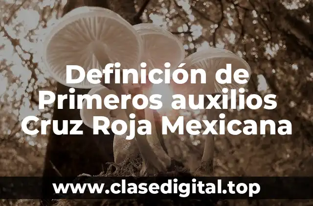 Definición de Primeros auxilios Cruz Roja Mexicana
