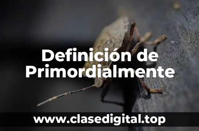 Definición de Primordialmente