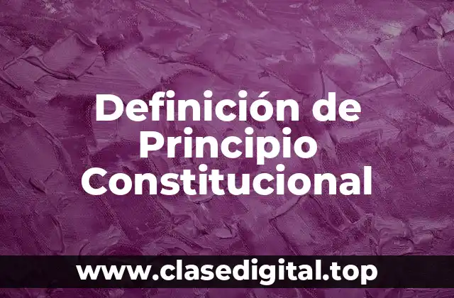 Definición de Principio Constitucional
