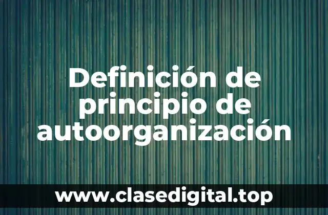 Definición de principio de autoorganización
