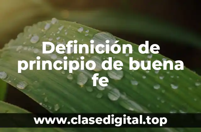 Definición de principio de buena fe