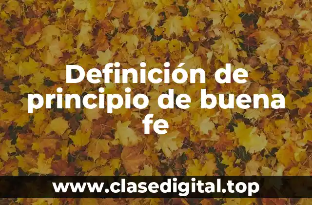 Definición técnica del principio de buena fe